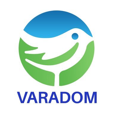Varadom Technologies Logo